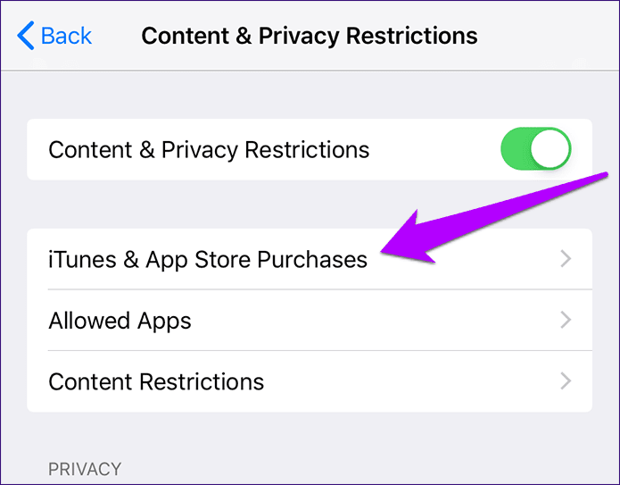 iTunes & App Store Purchases